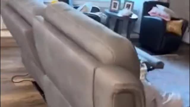 So funny pet