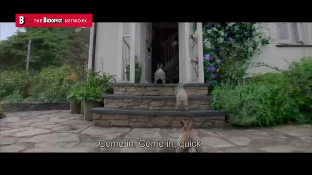 Man Fights Rabbit - BATTLE SCENE - Peter Rabbit - Clip_Cut