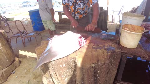 Huge Ray Fish Cutting Skills _ Fish Cutting Skills