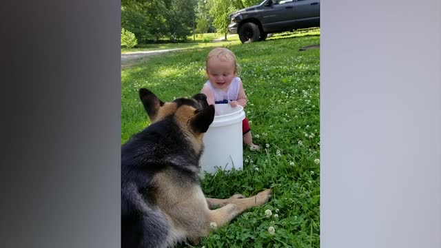 Cute babys playing with dogs