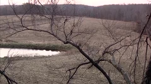 Hunting University - S10E04 - Kentucky Whitetail And Quail Hunt