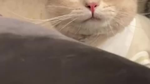When his girlfriend ignores him.🤬