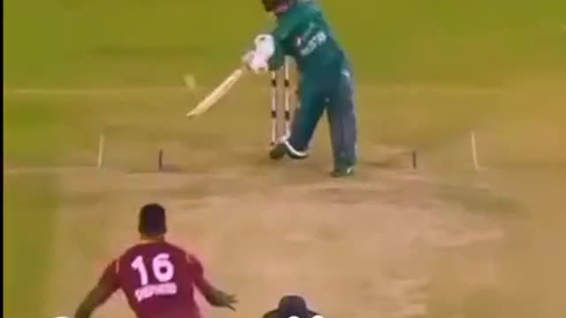 fans-video cricket lovers-video #cricket #cricketlover