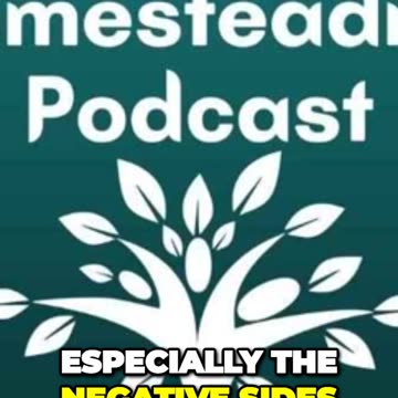 Before I started hosting through Airbnb