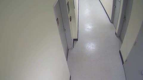 8802VZN06Elevator_2021-01-05_20h20min06s283ms.mp4