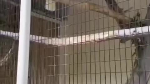 Boston USA🙋🏻🗽🇺🇸