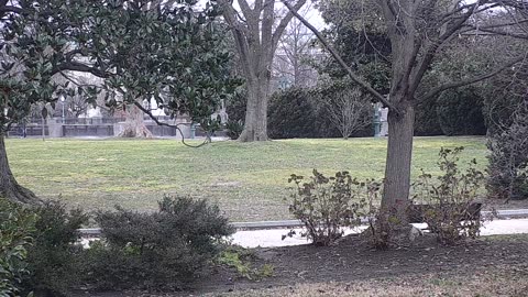 0679USCG00SEDriveExit_2021-01-06_08h33min01s130ms.mp4