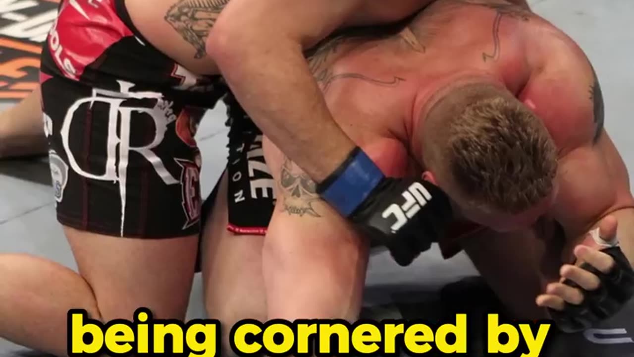 Brock Lesnar ran for his life during the ufc fight