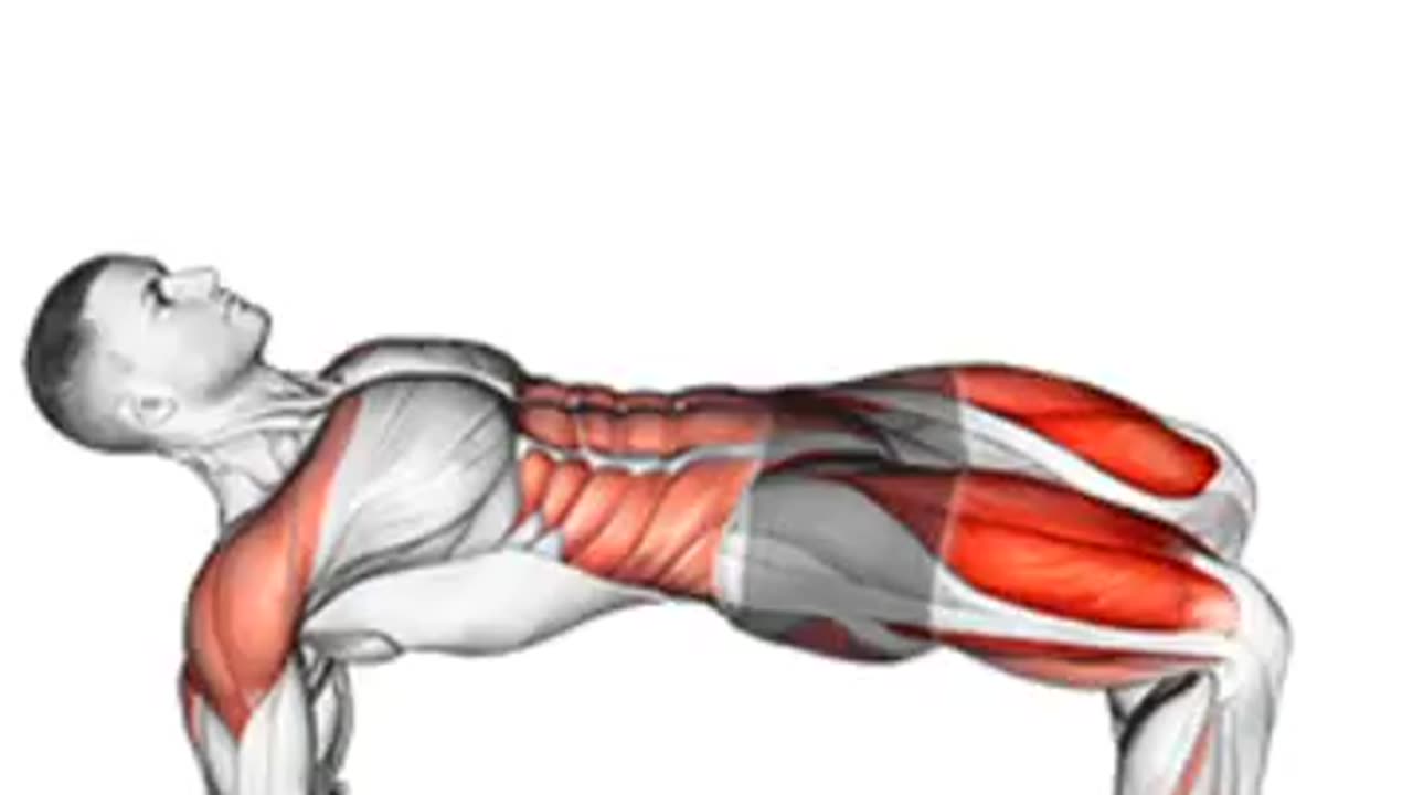 Legs workout at home easy workout for beginners guide