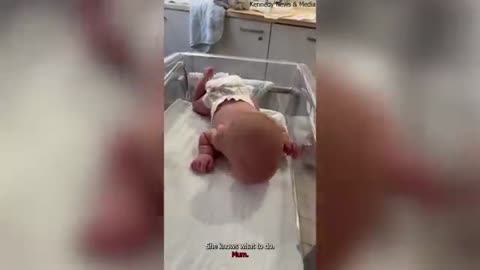 Like and subscribe for more