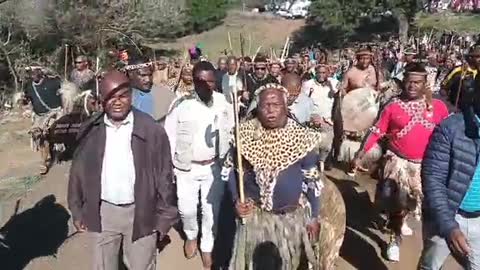 Zulu King: Praise singer