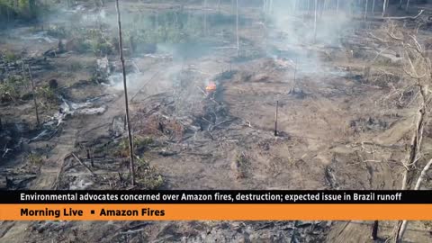 Burning Amazon expected to be issue in Brazil's run-off election