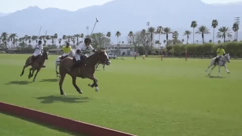 Polo: A very gentleman sports