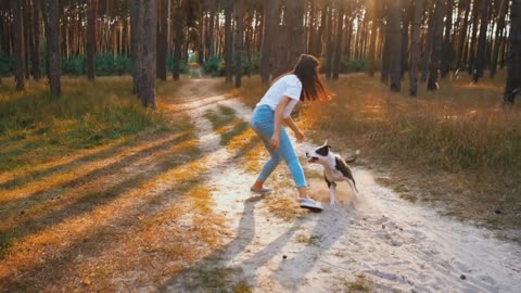 Dog feels happy while with beautiful owner