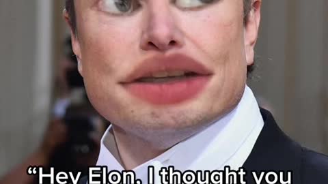 "Hey Elon, I thought you weren't gonna buy Twitter in the end?”