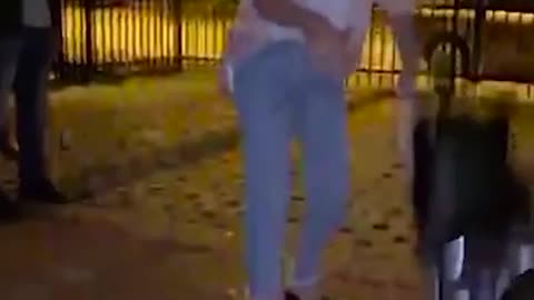 Funny Dog Dancing with Girl Very Excited