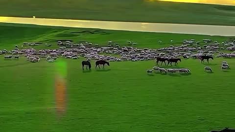 Love the view of nature