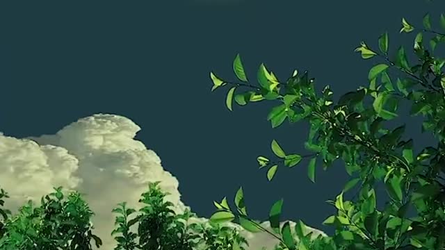 #scenery