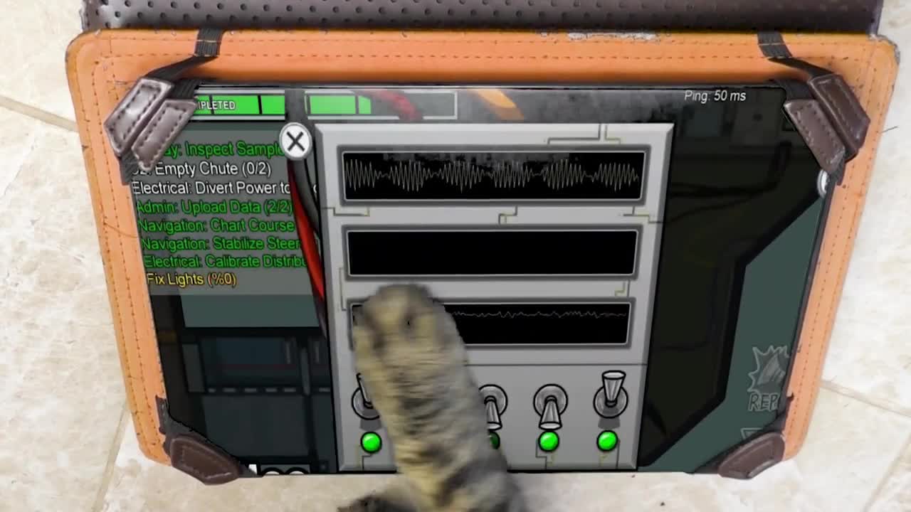 Among Us is not appropriate for THIS CAT #4