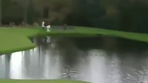 One of the best shots in golf