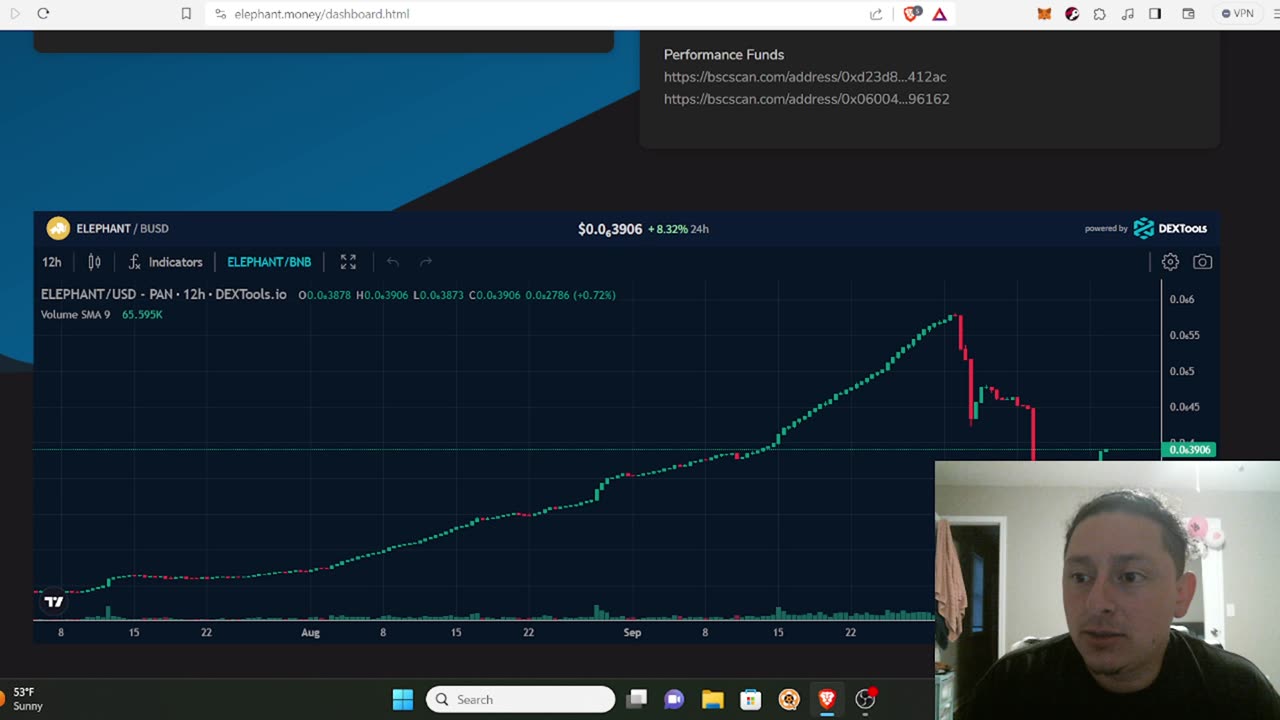 "STAKE" ELEPHANT TOKENS for bigger incentives here!