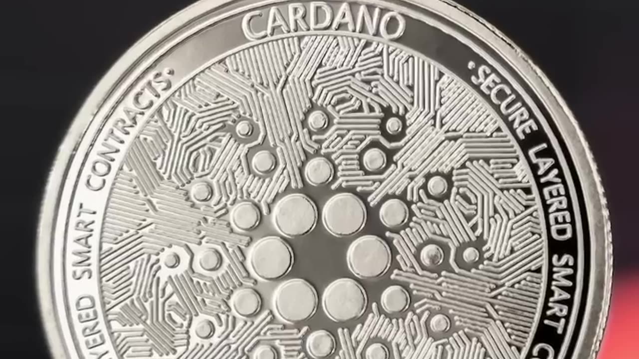 Crypto Market Update OMG 😱😱😱