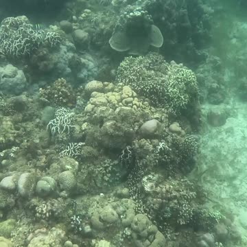 Perfect Day for a Snorkeling Adventure!