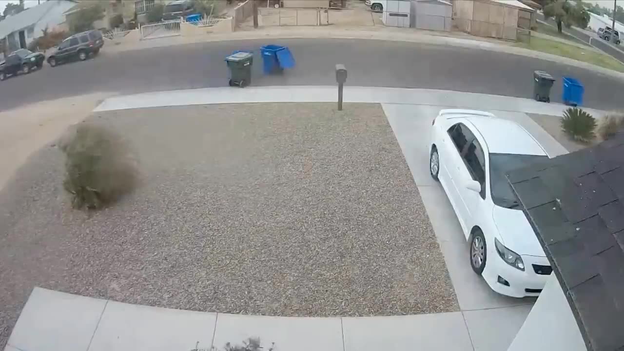 weirdest things caught on security cameras