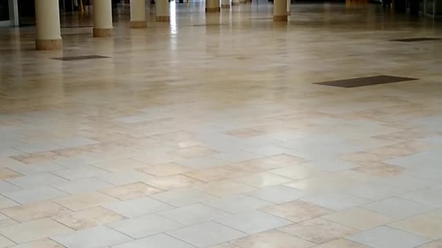 Sad State of the Sarasota Square Mall