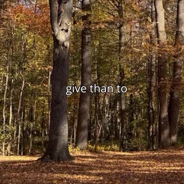 Human Nature vs Grace Part 5