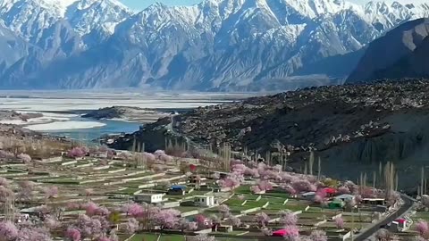 Beautiful blossom in the mountains of Skardu