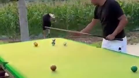 Funny Billiard Video