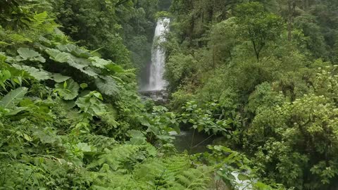 Seeing the World Costa Rica 4K