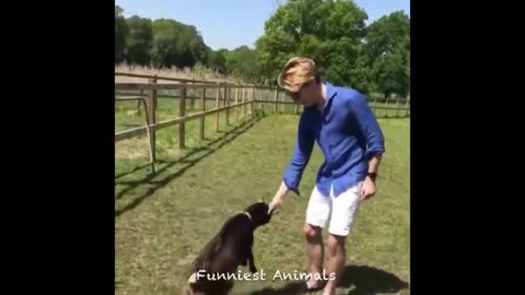 AWW Animals SOO Cute! Cute baby animals Videos Compilation cute moment of the animals