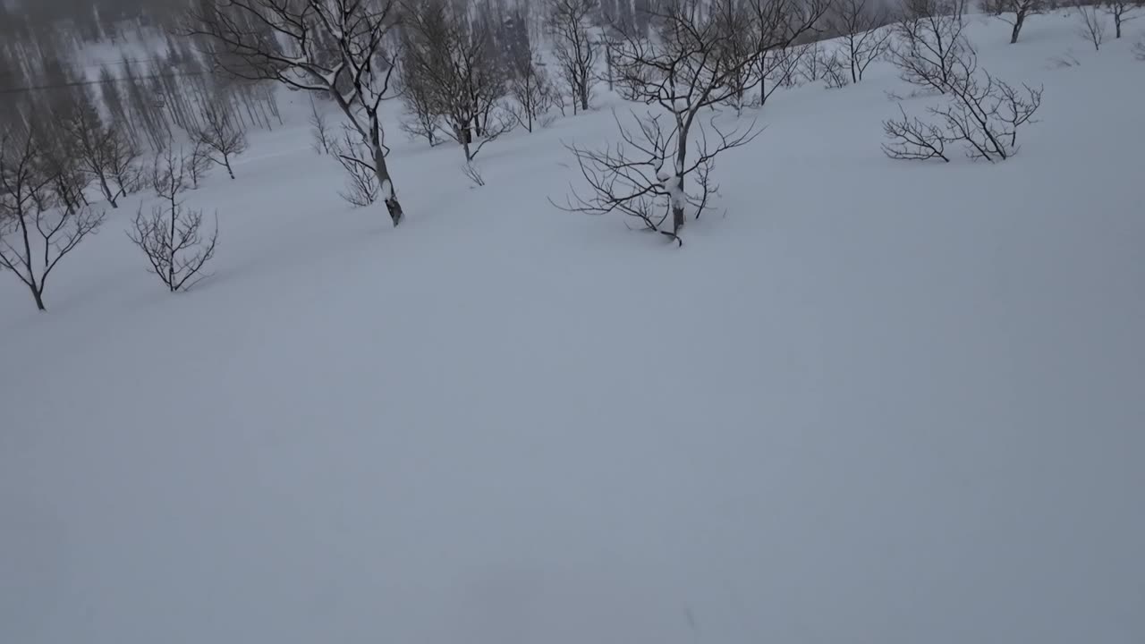 Feb 22nd Frist run 20" fresh powder