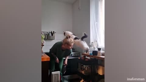 Funny Animals 2023 😍🤣