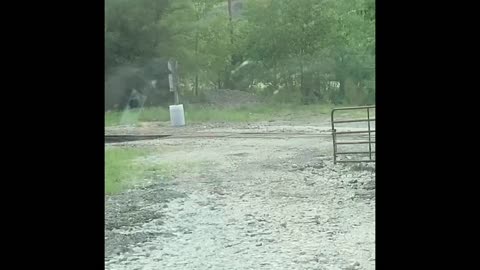 Just roaming around the Air Force Base near Omaha