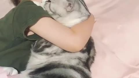 cute cat sleepping with girl