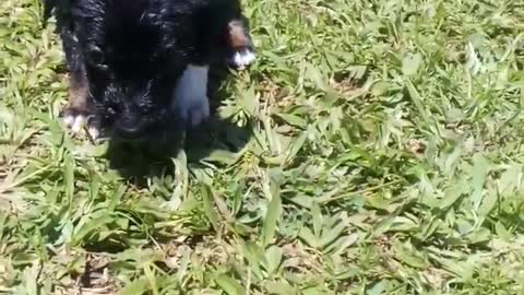 My Lily for life🥰