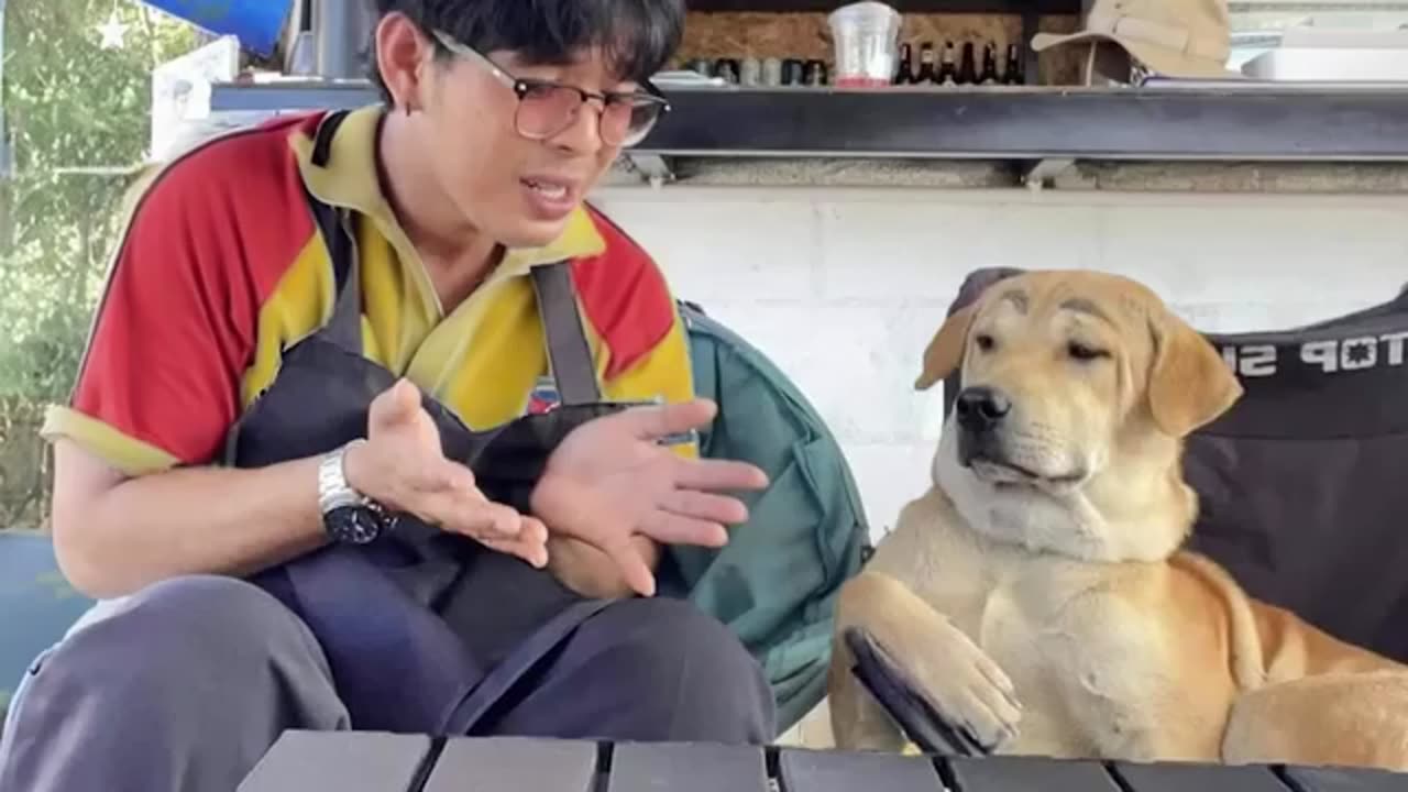 When your dog really listens to you - Funny Dog and Human Video 2024