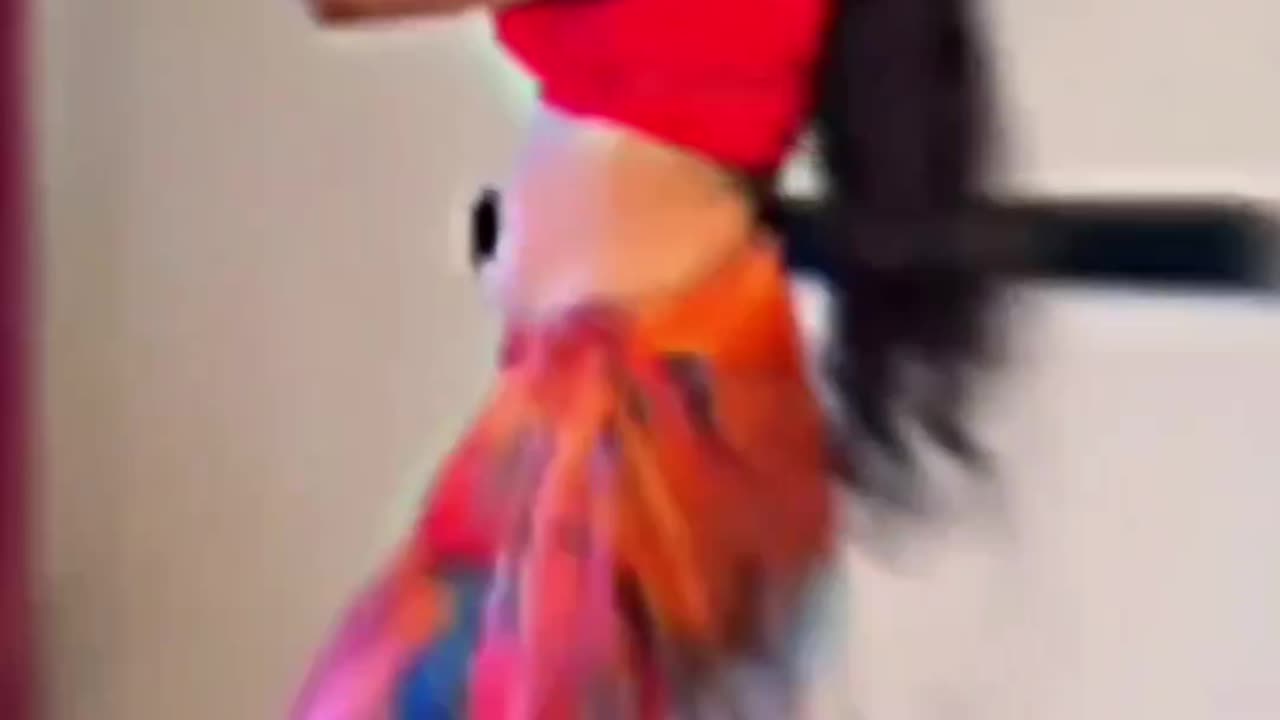 Belly dancer india 😊😊😊