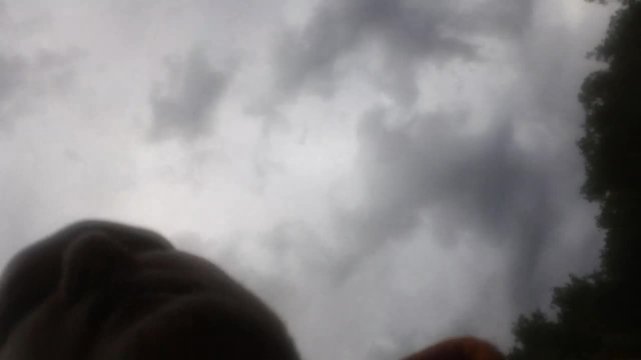Apocalypse Chronicles
