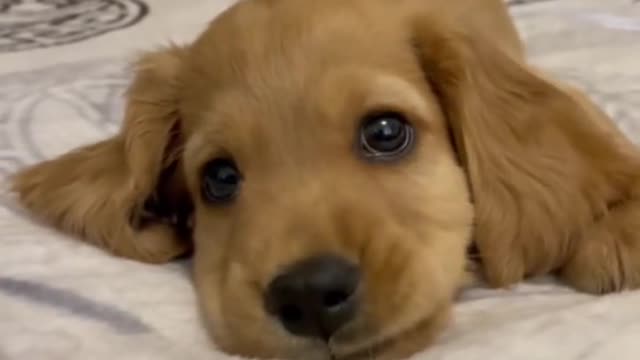 It made my heart melt