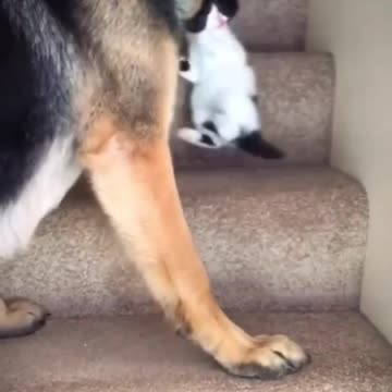 a little love is the next step