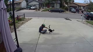 Boy Takes Time Out Of His Daily Routine To Visit 'Misunderstood' Cat