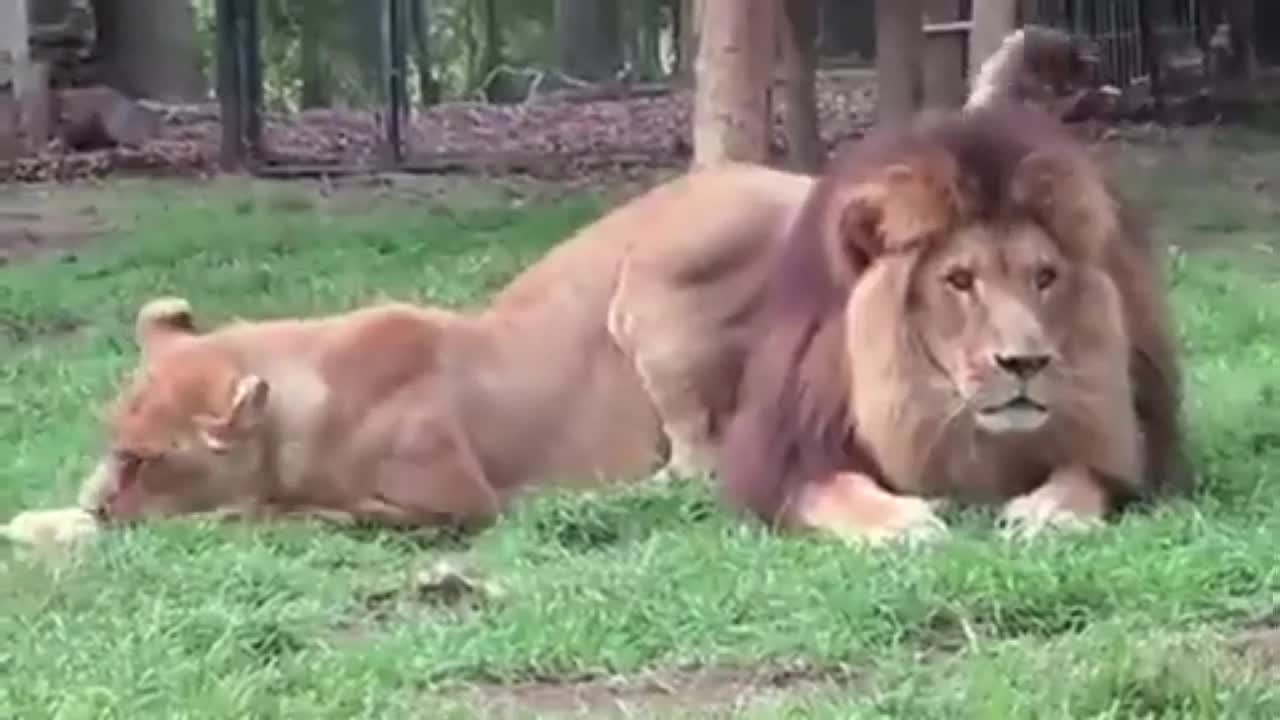 When she’s trying to give you some action but all u think about is how to Scam billions