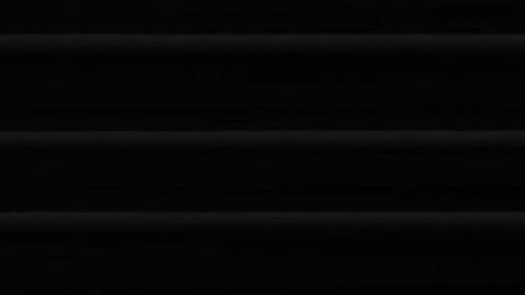 2942FHOB01Xray3rdSt_2021-01-05_06h40min02s417ms.mp4