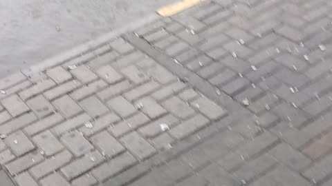 Dubai rain