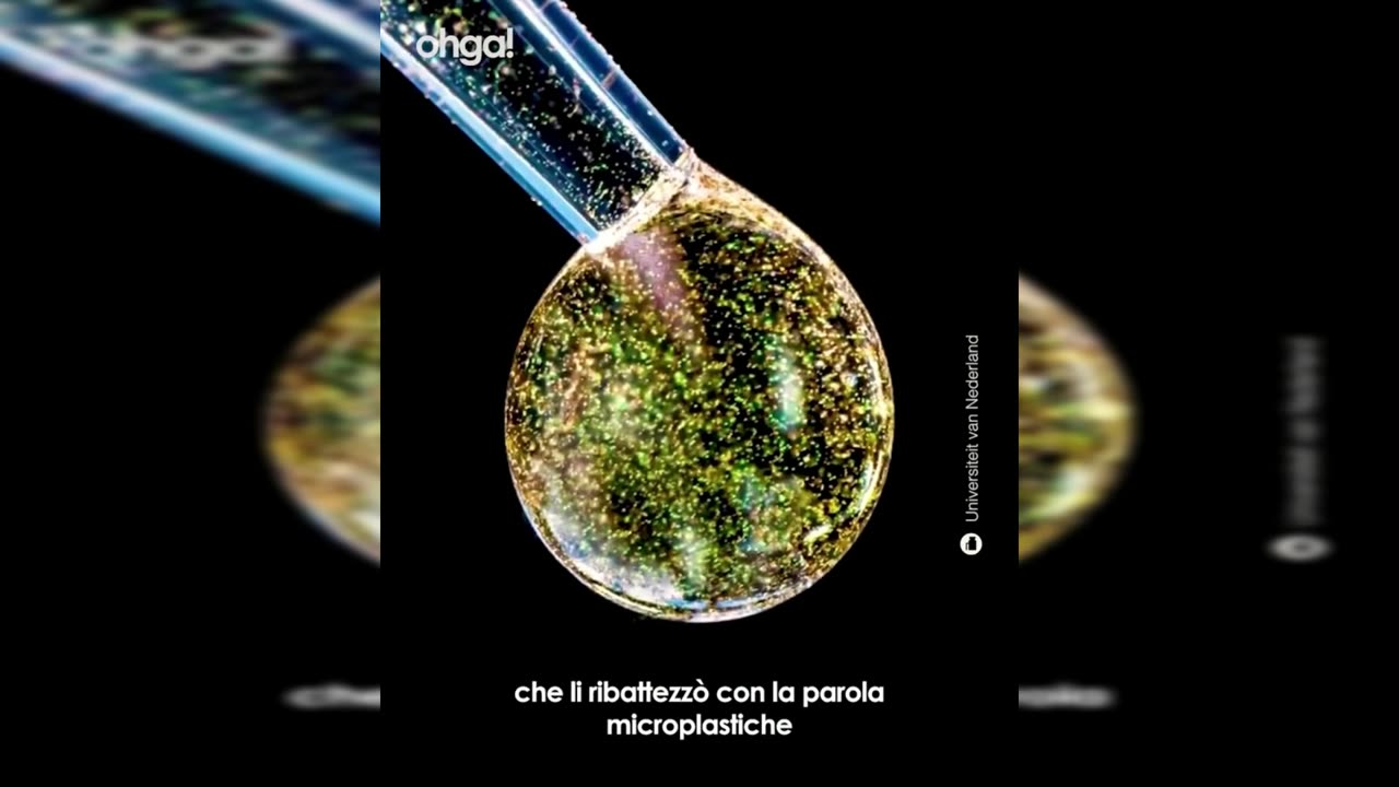 Micro e nano plastiche sono ovunque! Fuori dal Virus n.672.SP