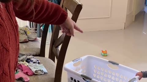 Working Dog Is Just Happy To Help With Laundry